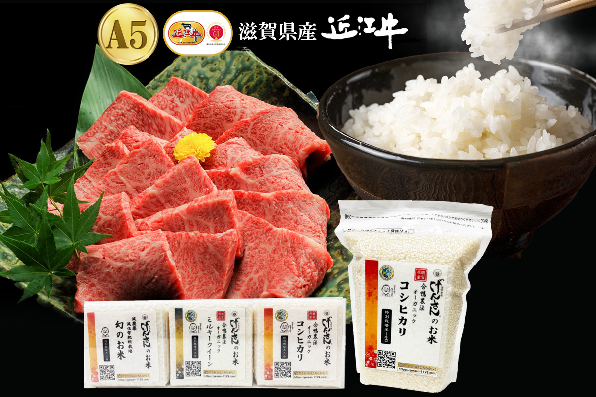 【ギフト】近江牛A5ランク カルビ焼肉用400g+げんさんの選べるお米セット