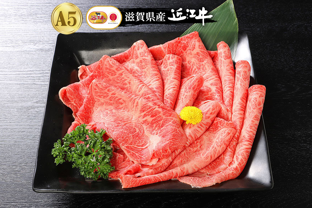 【特別価格ゲリラ販売会】滋賀県産近江牛 霜降赤身 すき焼き・しゃぶしゃぶ用 500g