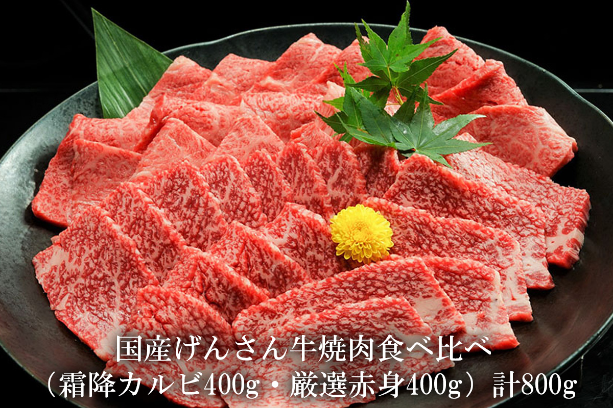 【eギフトカタログ専用商品】【TTコース】国産げんさん牛焼肉食べ比べ（霜降カルビ400g・厳選赤身400g）計800g