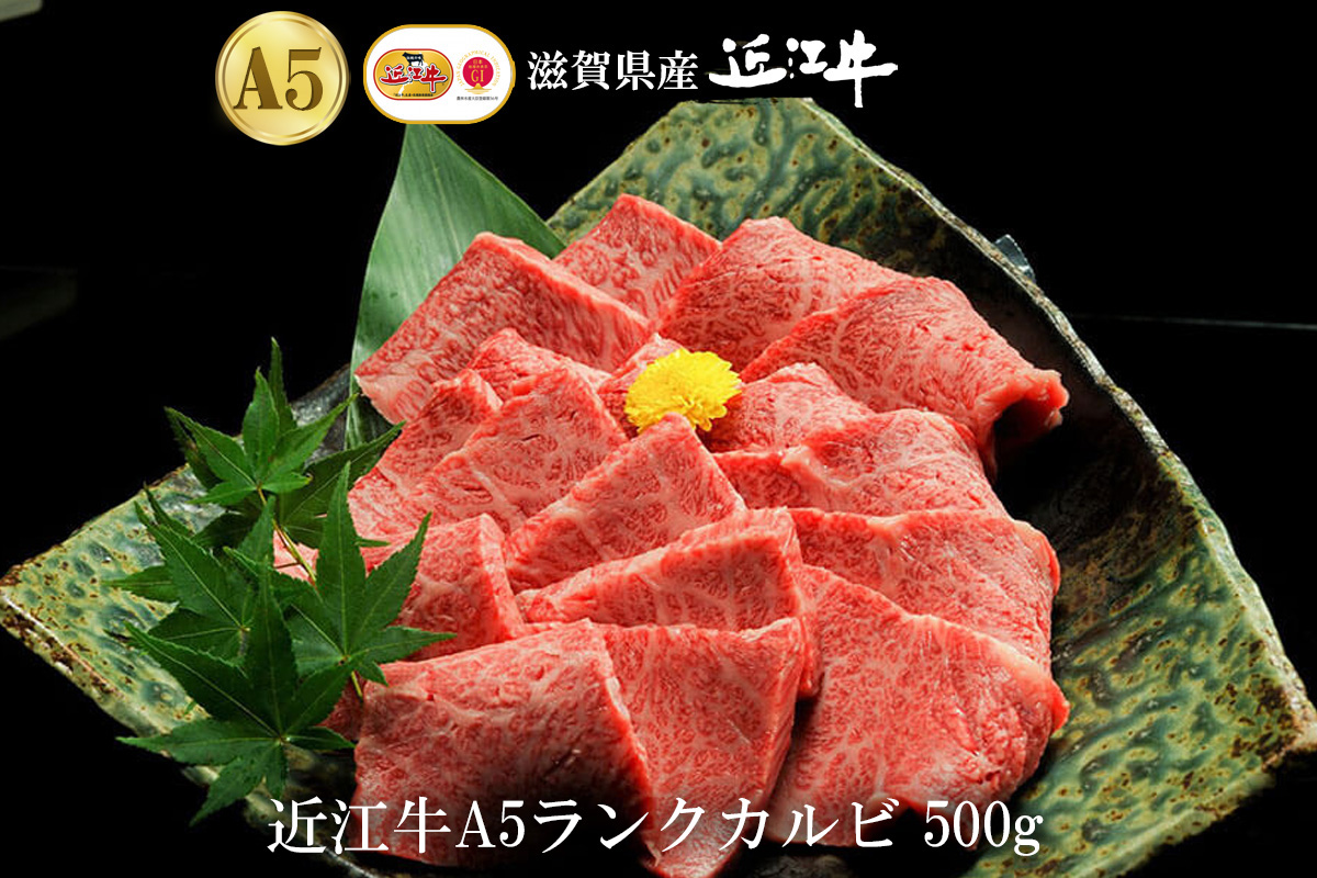 【eギフトカタログ専用商品】【FTコース】近江牛A5ランクカルビ焼肉用 500g
