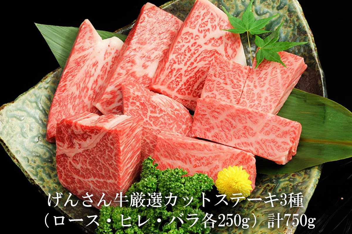 【eギフトカタログ専用商品】【FTコース】げんさん牛厳選カットステーキ3種（ロース・ヒレ・バラ各250g）計750g