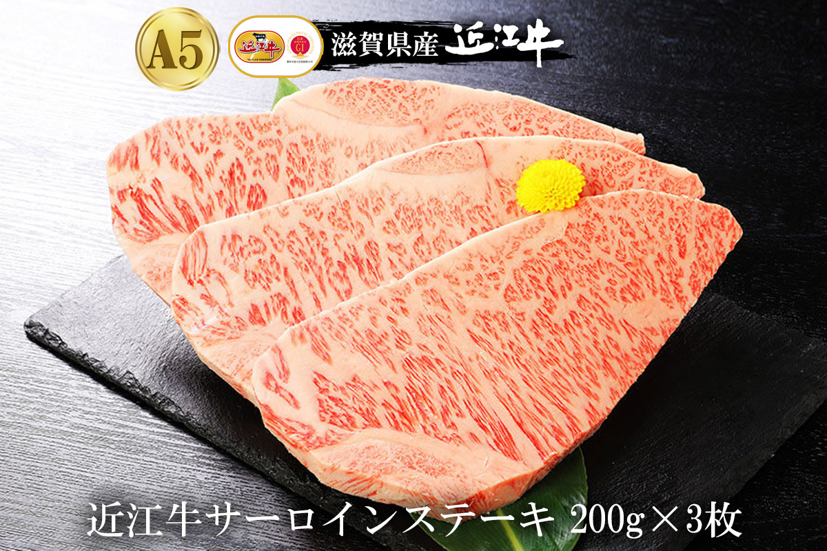 【eギフトカタログ専用商品】【TTTコース】近江牛サーロインステーキ200g×3枚
