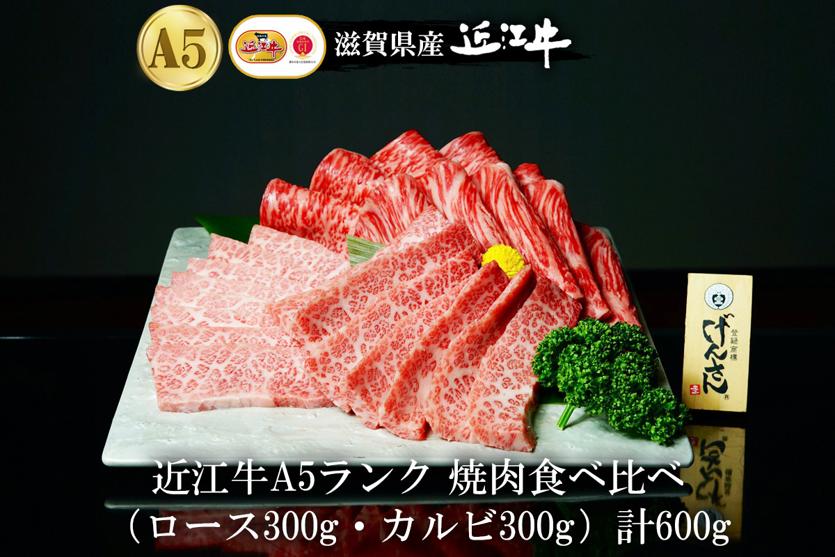 【eギフトカタログ専用商品】【TTTコース】近江牛A5ランク 焼肉食べ比べ（ロース300g・カルビ300g）計600g