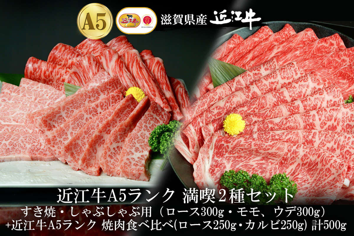【eギフトカタログ専用商品】【STコース】近江牛A5ランク 満喫2種セット　すき焼・しゃぶしゃぶ用（ロース300g・モモ、ウデ300g）+近江牛A5ランク 焼肉食べ比べ（ロース250g・カルビ250g）計500g