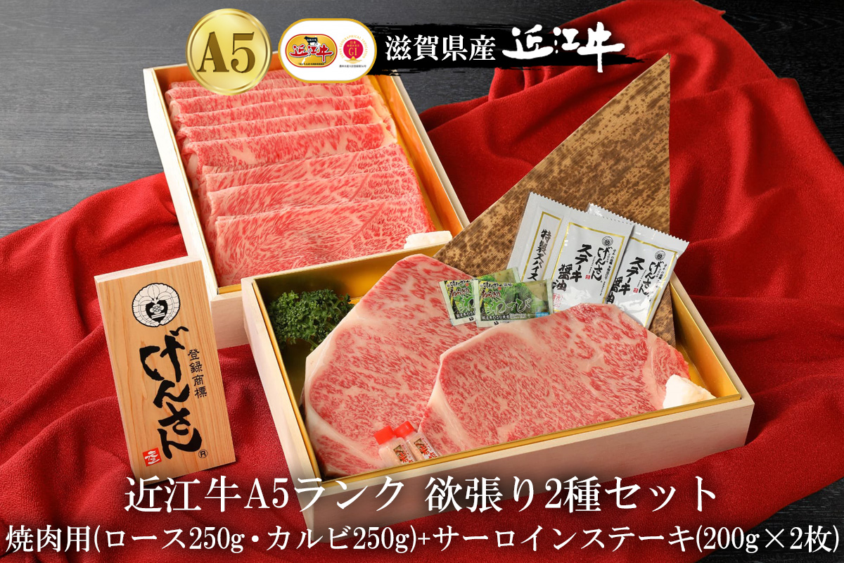 【eギフトカタログ専用商品】【STコース】近江牛A5ランク 欲張り2種セット　焼肉用（ロース250g・カルビ250g）+サーロインステーキ(200g×2枚)