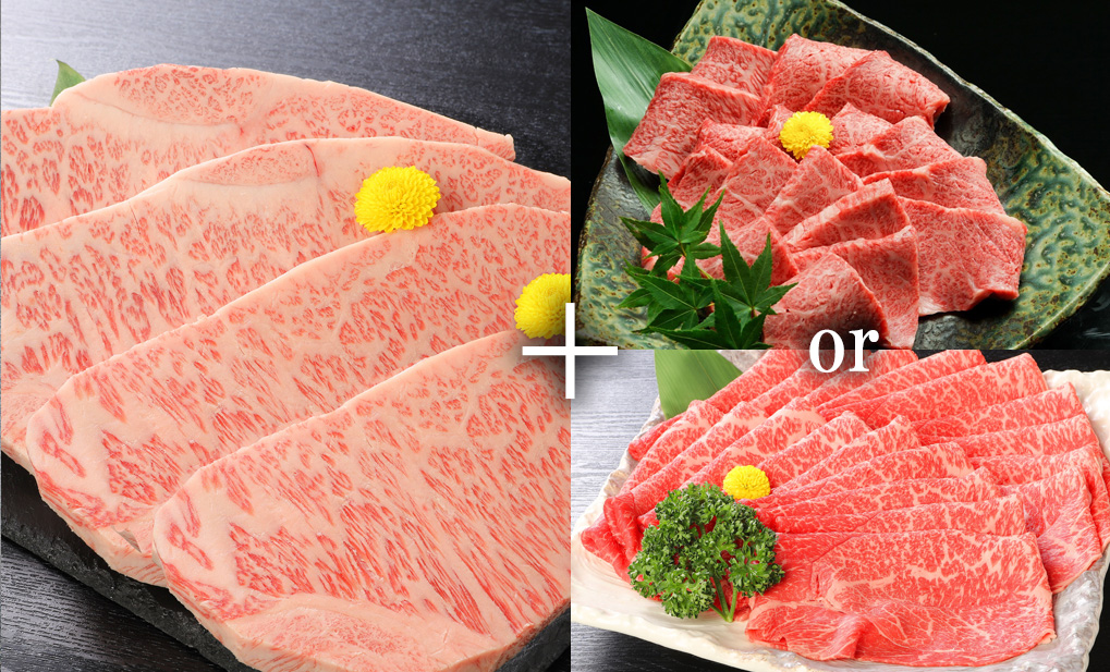 【日本体力医学会大会×肉のげんさん】滋賀県産近江牛贅沢選べるセット