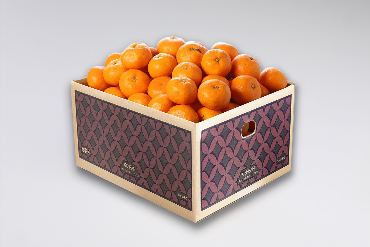 【生鮮館げんさん厳選商品】和歌山県産 山勝みかん 1箱 約5.0kg入