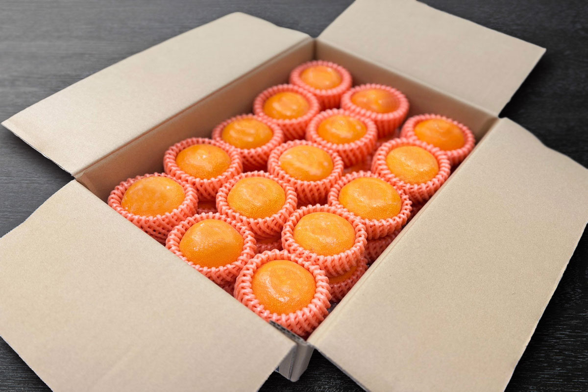 【生鮮館げんさん厳選商品】和歌山県産 特撰権兵衛みかん 1箱 約3.0kg入