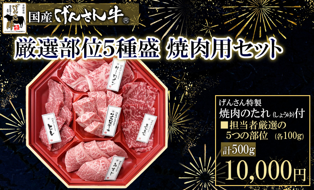 厳選部位5種盛焼肉用