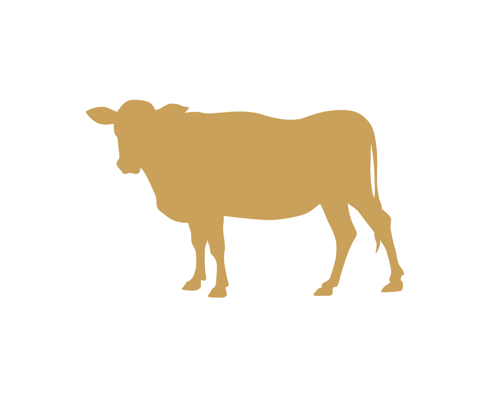 厳選された高品質な肉