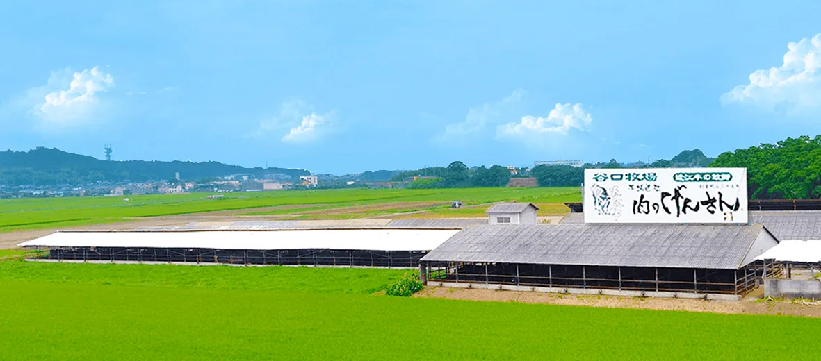げんさんで販売している牛肉の指定牧場